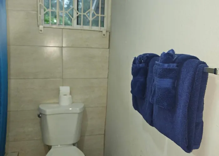 Appartement Oceanview At Montego Gardens
